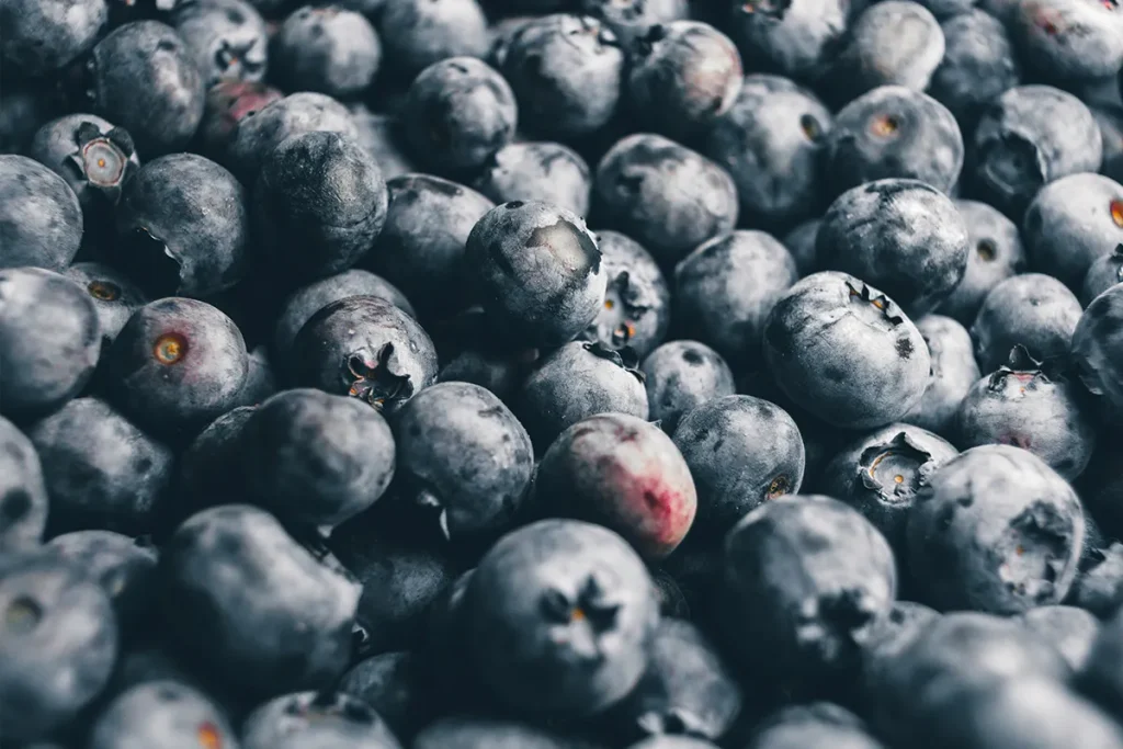 best-foods-website-build-images-v1-04