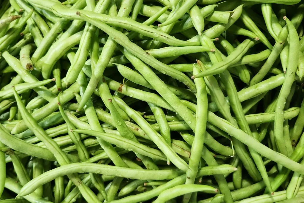 best-foods-website-build-images-v1-09