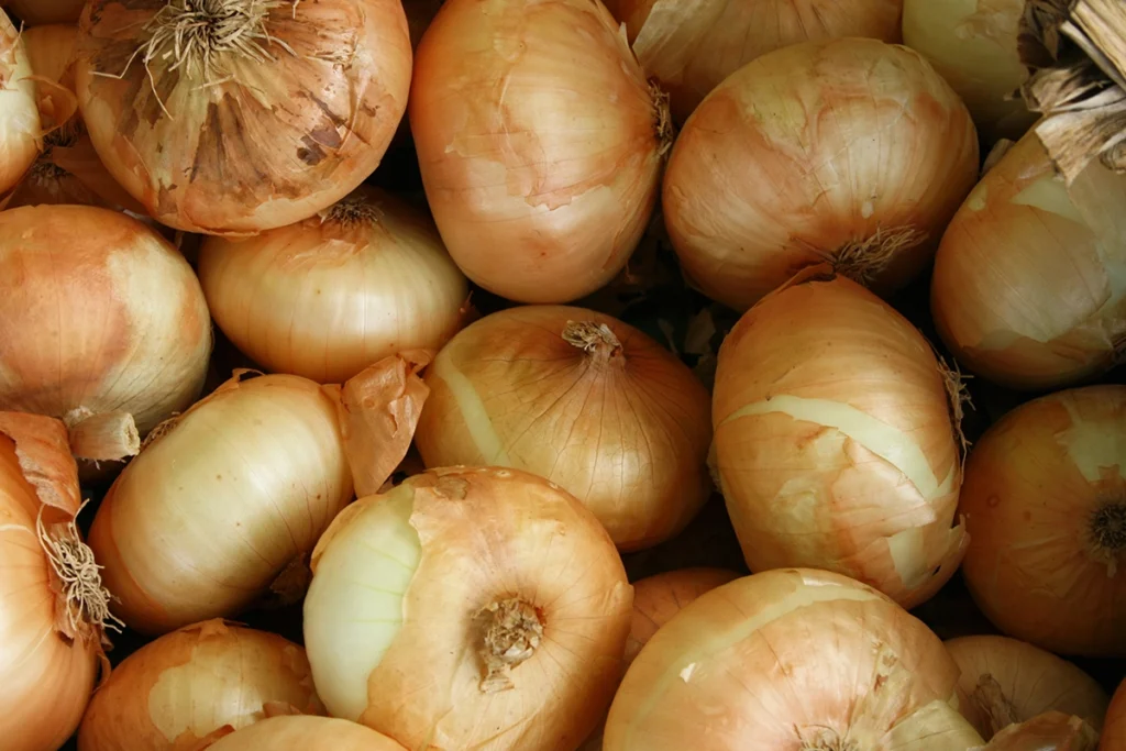 best-foods-website-build-images-v1-33